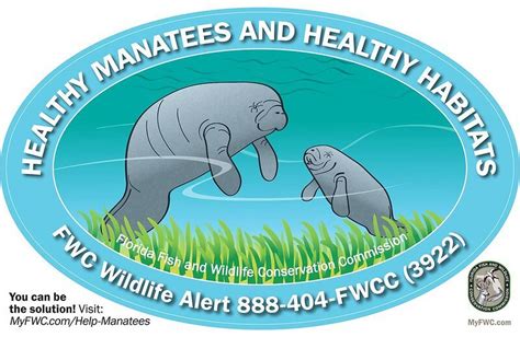 Fwc Releases New Decals With Proceeds Benefiting Sea Turtles Manatee