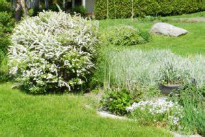 Trugreen has 3 branches offering lawn services in the cincinnati area to keep your yard looking its best. Lawn Care Cincinnati OH - Tuition Lawn and Landscape