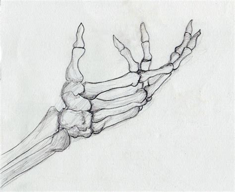 Pin De Leisel Dsouza Em Tattoo Esqueleto Humano Desenho Desenhos