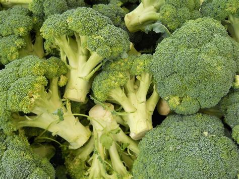 Yellow Broccoli Tero Vegetable