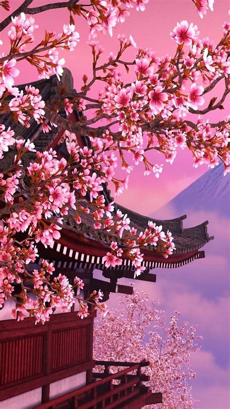 Cherry Blossom Wallpaper Enwallpaper