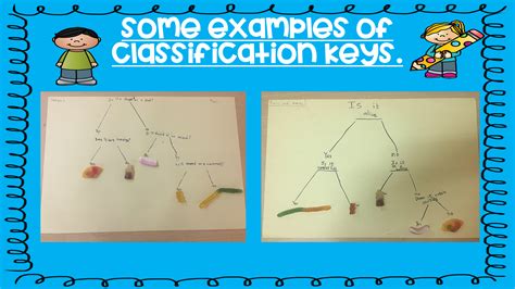 Mash Class Level Creating A Classification Key