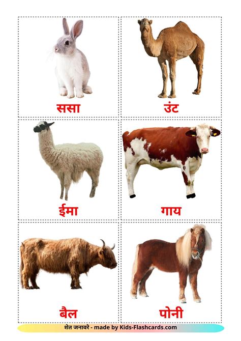 Top 166 Domestic Animals In Marathi