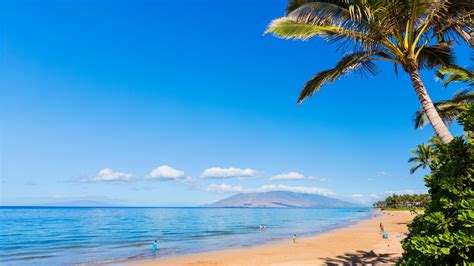 Wallpaper Maui Hawaii Beach Ocean Coast Palm Sky 5k Nature 16700
