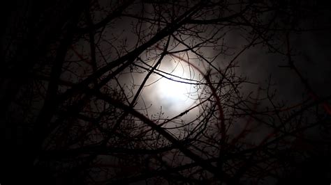 Full Moon Rising In A Dark Scary Forest Halloween Screensaver Youtube