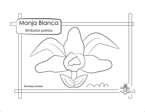 Monja Blanca Colorear Simbolos Patrios Guatemala Dibujos Trabajo Patrio Sexiz Pix