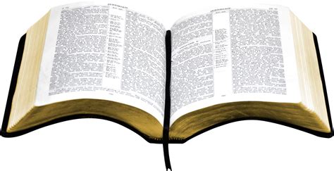 Open Bible Clipart Png Holy Bible Png Transparent Full Size Clipart