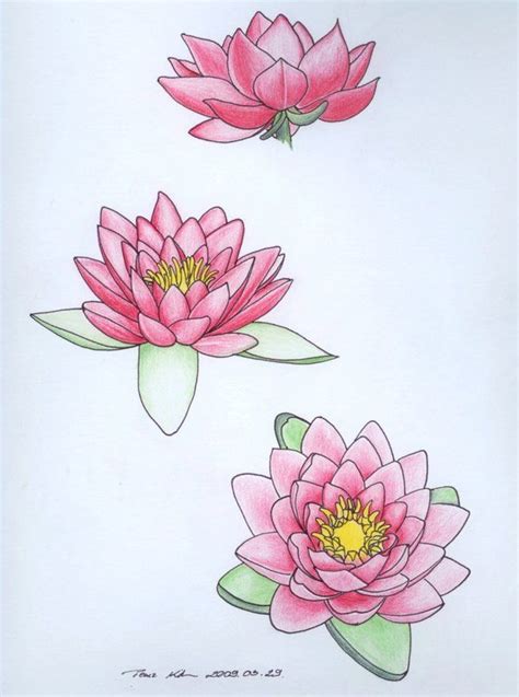 Water Lily Tattoo July Flower Purity Of Heart
