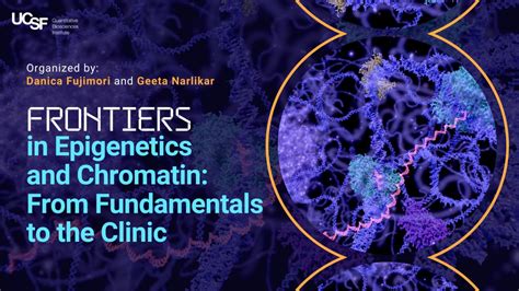 Frontiers In Epigenetics And Chromatin From Fundamentals