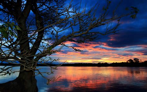 Sunset Lake And Tree Wallpaper Nature And Landscape Wallpaper Better