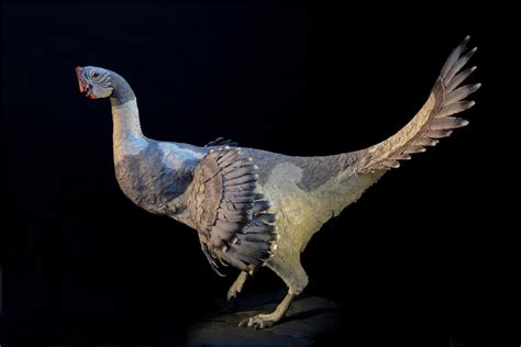 Heres What Feathered Dinosaurs Looked Like Core77