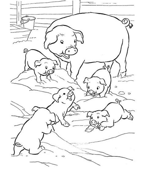 Pig Mother And Her Babies Coloring Page Coloring Sky