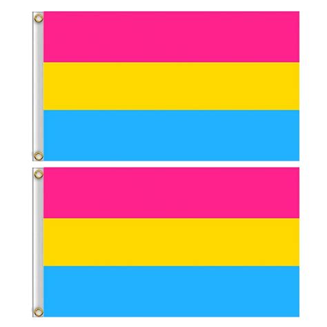 2 pack pansexual pan gay pride flag 3x5ft heavy duty polyester lgbt omnisexual rainbow equality