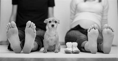 Pregnant Couple And Dog In Love With Baby Belly Pet Showing Bare Feet