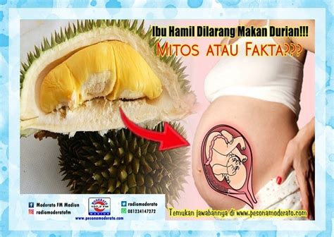 Mitos tentang bahaya wanita hamil yang makan durian. Ibu Hamil Dilarang Makan Durian!!! Mitos atau Fakta ...