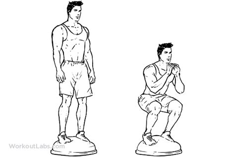 Bosu Ball Squats Workout Guide Push Workout Exercise