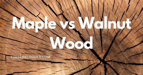 Maple Vs Walnut Wood Which One Is Best For Your Project Timber Blogger