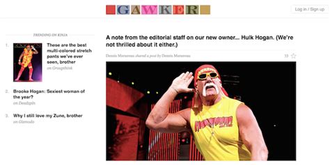 The Scandalous Life Of Wwe Star Hulk Hogan There Is So Much To Know About His Career
