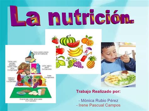 Funcion De Nutricion En El Ser Humano By Esther López Calderón Issuu