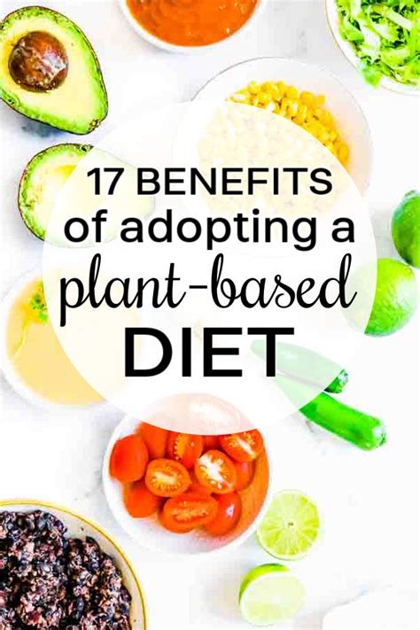 Plant Based Diet Benefits Benefits Of Vegetarian Diet Vegetarian
