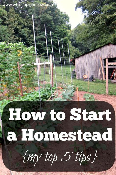 How To Start A Homestead Homestead Farm Homestead Gardens Homestead