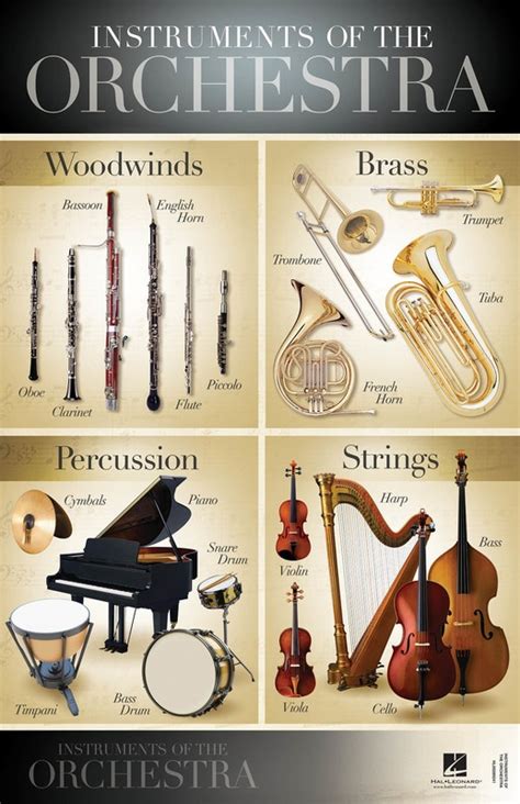 Instruments Of The Orchestra Poster Hal Leonard Australia