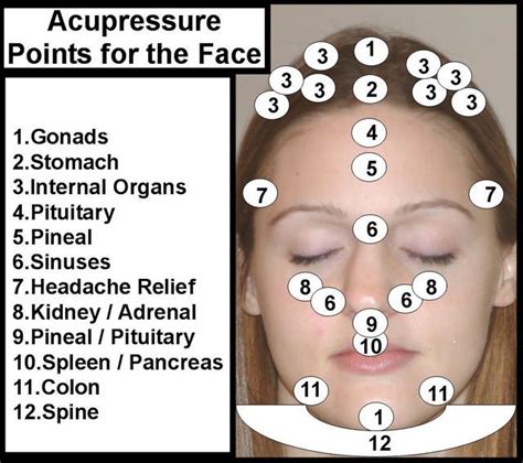 Acupressure Points For The Face Acupressure Treatment Acupressure