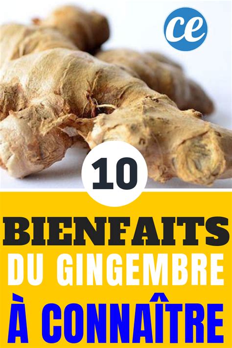 Les 10 Bienfaits Du Gingembre Que Vous Devez Absolument Connaître