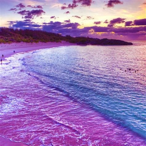 Beach Bermuda Pink Sand, Bermuda Beaches, Bermuda Travel, Caribbean ...