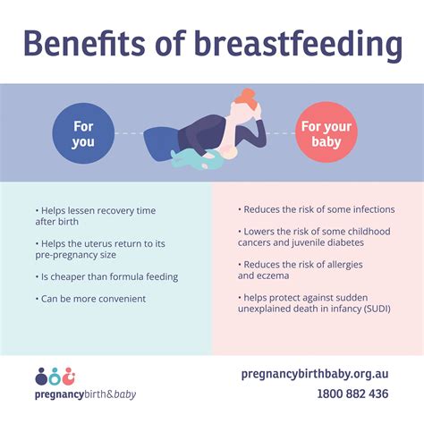 Breastfeeding Chart Poster Laminated Ph