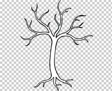 Tree Trunk Drawing Png Area Black And White Branch Cartoon Clip