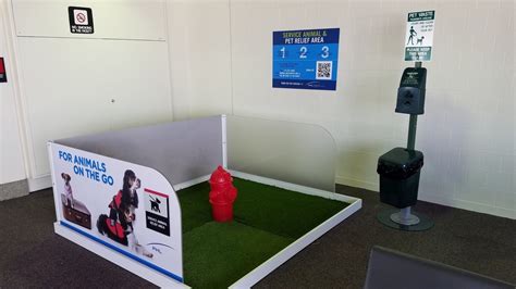 The Rising Popularity Of Pet Relief Areas Relax And Ride Carlisle