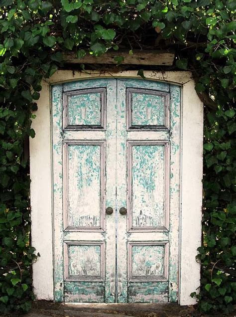 Garden Weather Wood Rustic Doors Photo Backdrop 9093 Door Backdrops