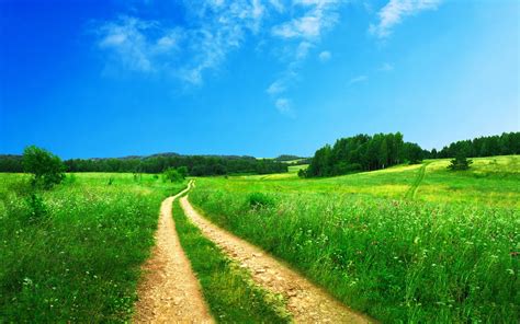 Country Dirt Road With Beautiful Scenic Grassy Landscape And Clear Blue