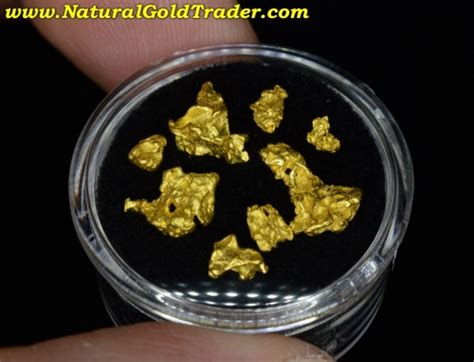 First issued by the people's bank of china in 1982, it was initially available in 1/10 oz, 1/4 oz. 3.04 Grams (8) Australia Placer Gold Nuggets