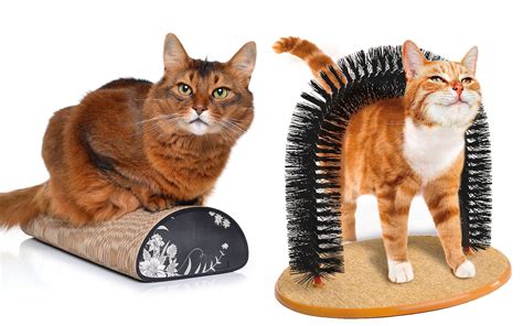 Five Of The Best Cat Scratchers Pets