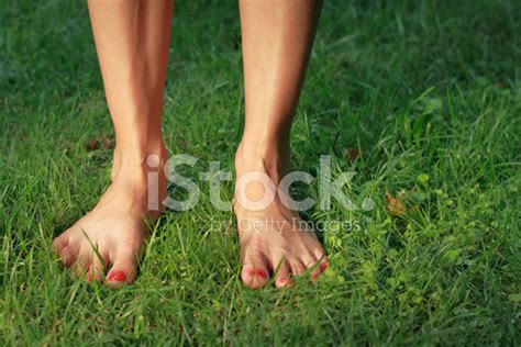 Female Feet Stock Photo Royalty Free Freeimages