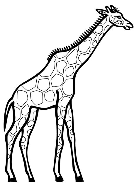 Printable Giraffe Coloring Page Download Print Or Color Online For Free