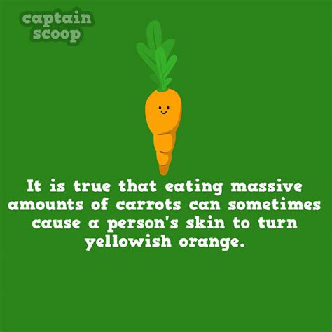 15 Cool Facts You Didnt Know About Vegetables Bored Panda