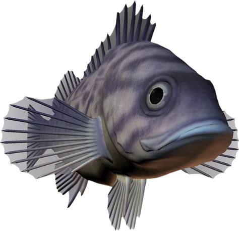 Free Png Clipart Some Fish
