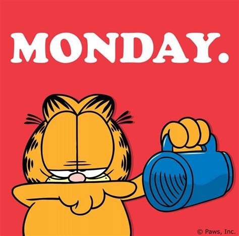 Monday Garfield Monday Garfield Quotes Garfield Cartoon Garfield