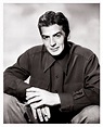 Victor Mature Old Hollywood Actors, Classic Hollywood, Ackley ...