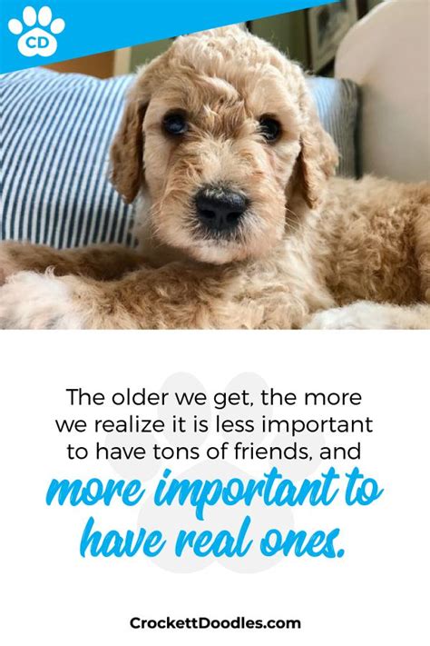 The Older We Get The More We Realize It Is Less Important