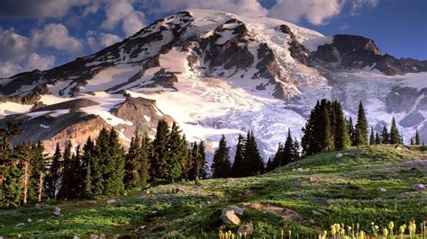Mount Rainier Wallpapers Top Free Mount Rainier Backgrounds