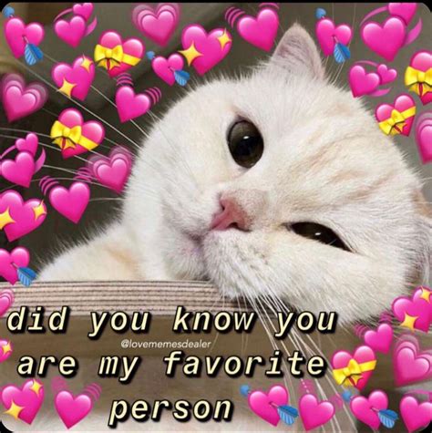 93 Cute Love Wholesome Cat Heart Meme