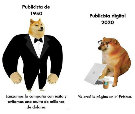 El Famoso Perro Del Meme Celebró Sus 11 Años De Vida Diario Panorama