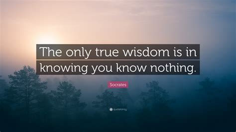 Socrates Quote The Only True Wisdom Is In Knowing You Know Nothing