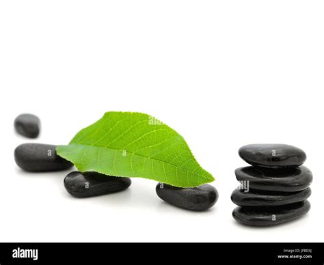 Zen Stones And Green Leaf Stock Photo Alamy