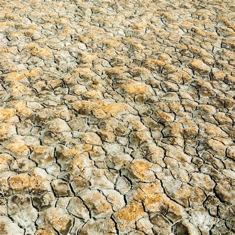 Texture Of Dry Land Stock Photo Image Of Heat Erosion 122814012