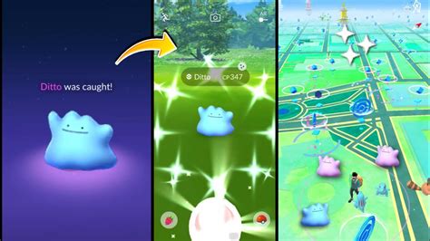 Best Method To Catch Shiny Ditto In Pokemon Go How To Catch Shiny